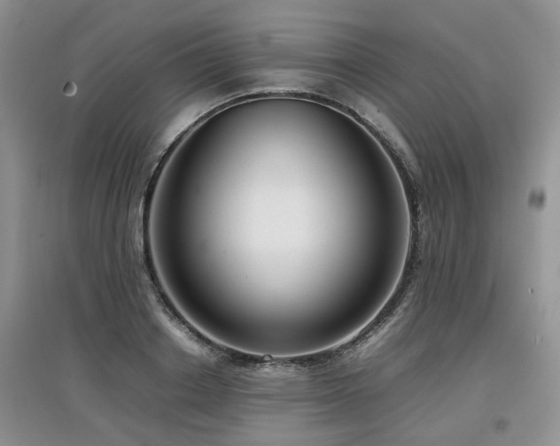 X0000097920842200803141439