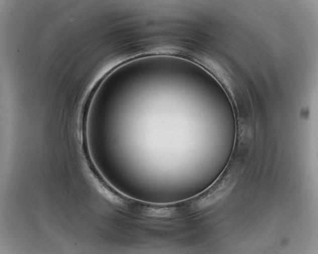 X0000097920843200803141439