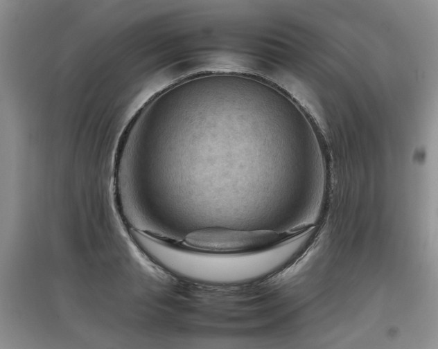 X0000097920845200803141439