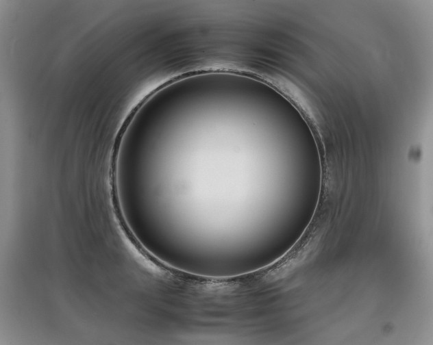 X0000097920847200803141439