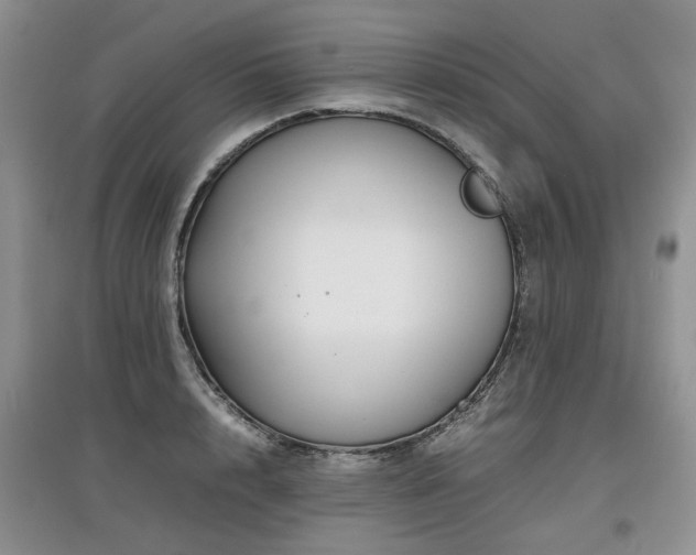 X0000097920848200803141439