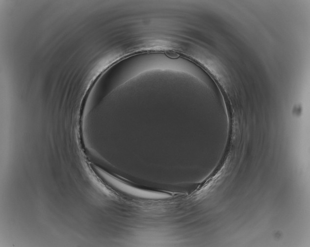 X0000097920850200803141439