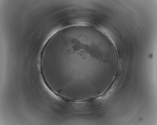 X0000097920851200803141439