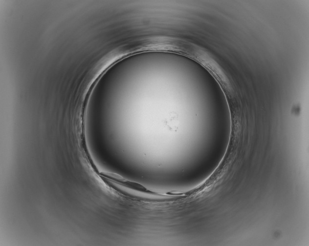X0000097920852200803141439