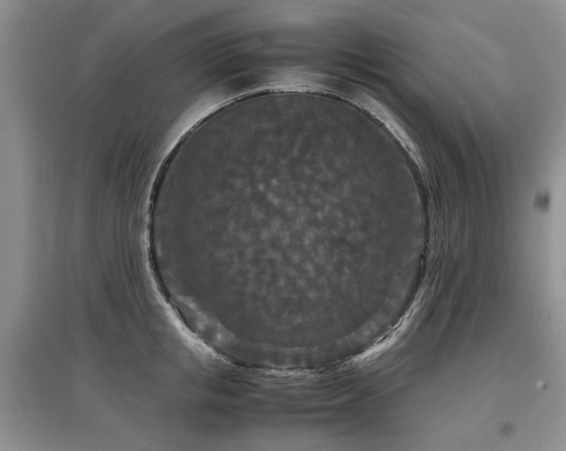 X0000097920853200803141439