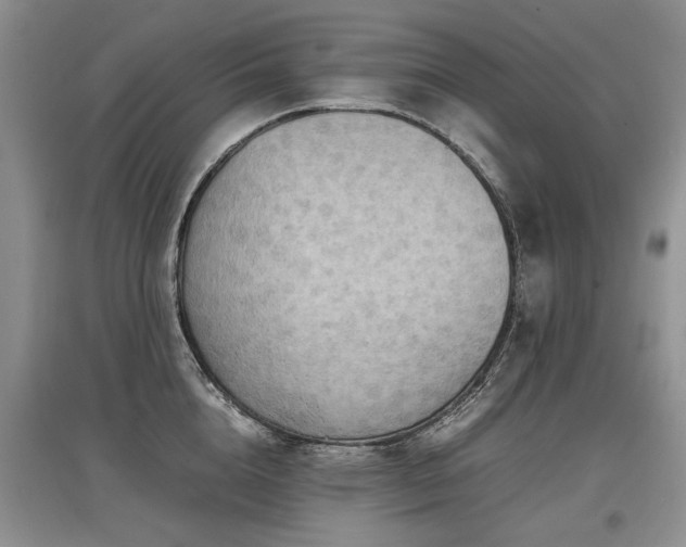 X0000097920856200803141439