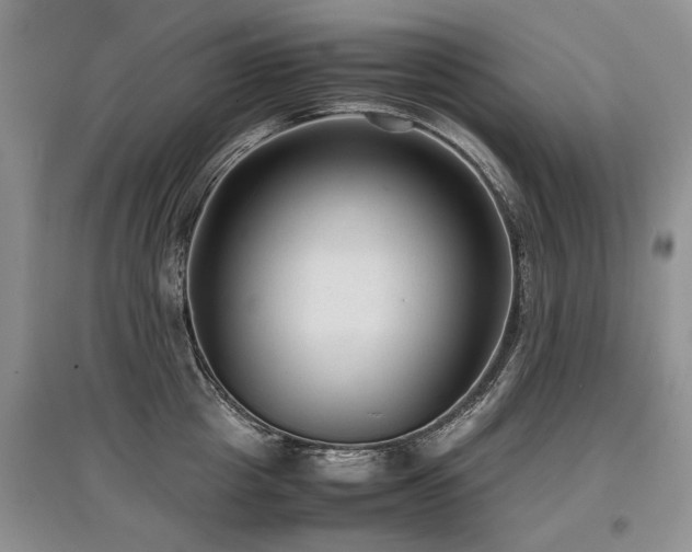 X0000097920857200803141439