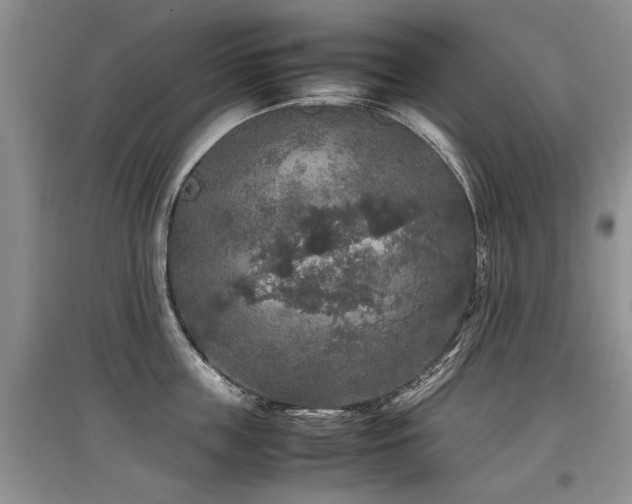 X0000097920859200803141439