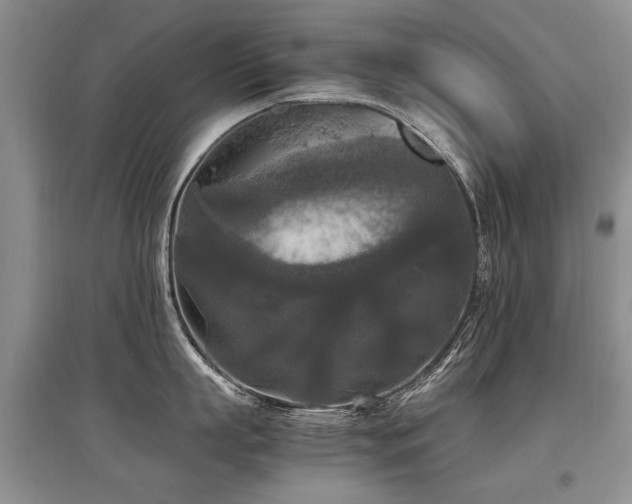 X0000097920863200803141439