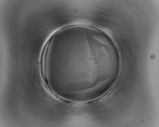 X0000097920864200803141439