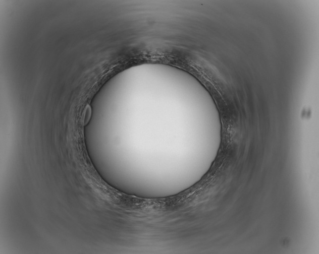 X0000097920865200803141439