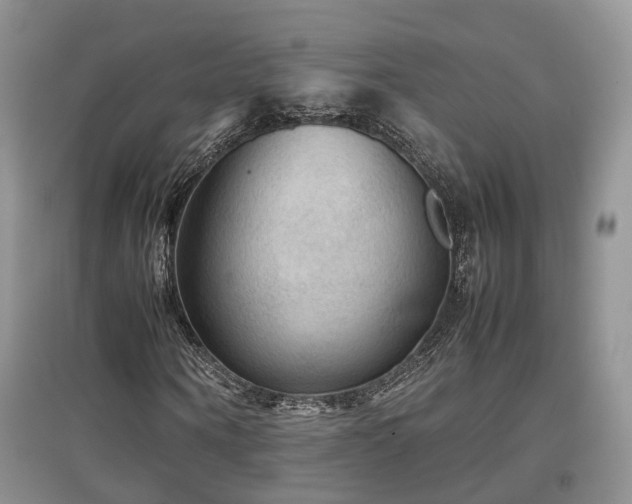 X0000097920866200803141439