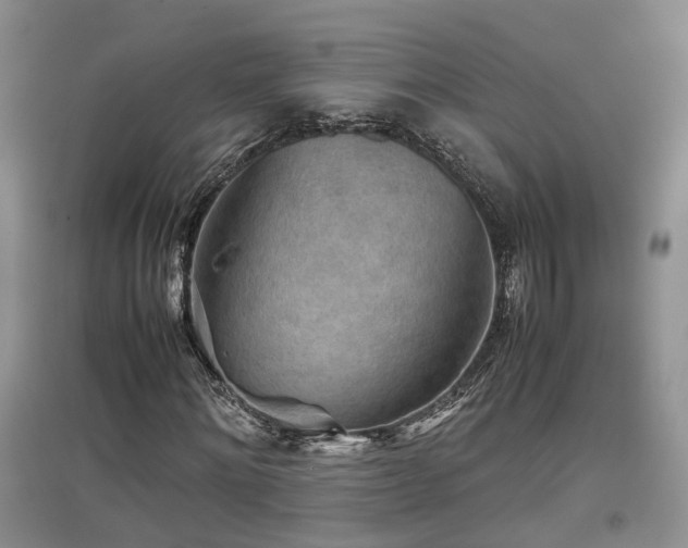 X0000097920868200803141439