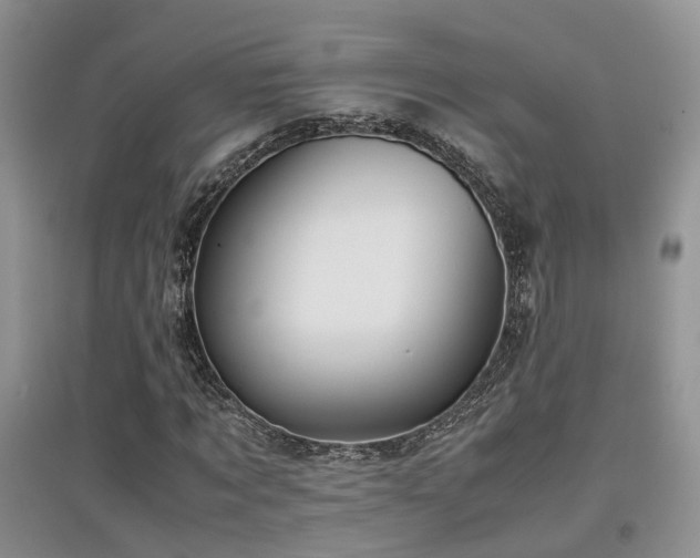 X0000097920869200803141439