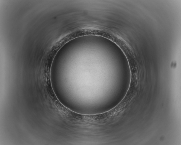 X0000097920870200803141439