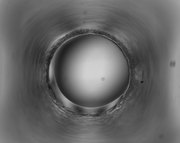 X0000097920872200803141439