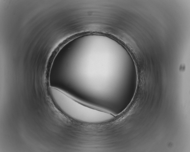X0000097920880200803141439