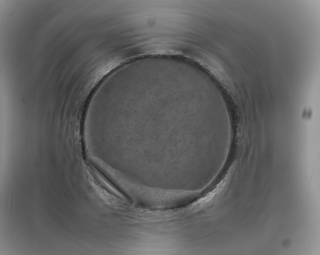 X0000097920881200803141439