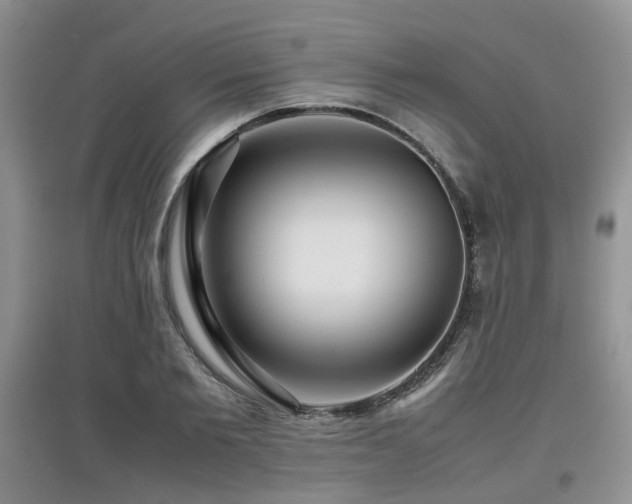 X0000097920885200803141439