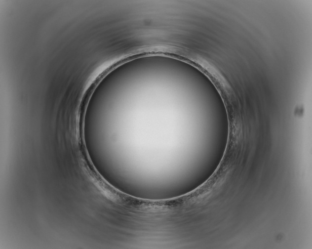X0000097920886200803141439