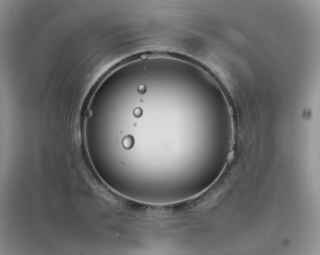 X0000097920887200803141439