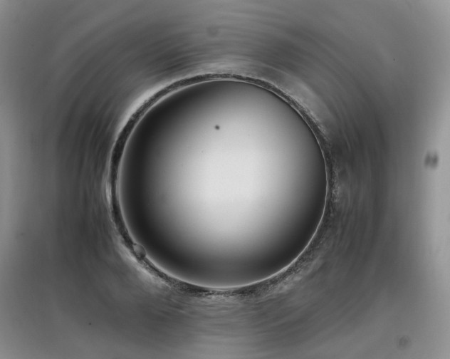 X0000097920888200803141439