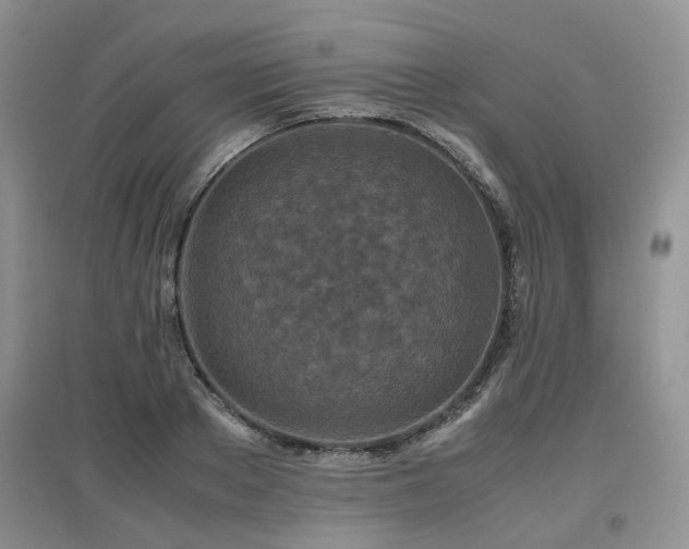 X0000097920889200803141439