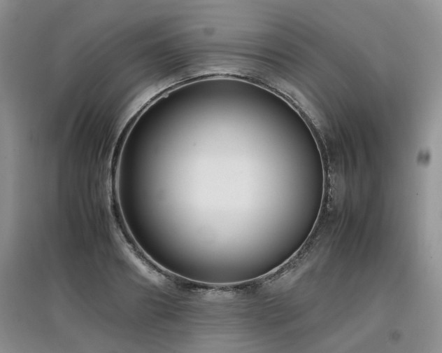 X0000097920890200803141438