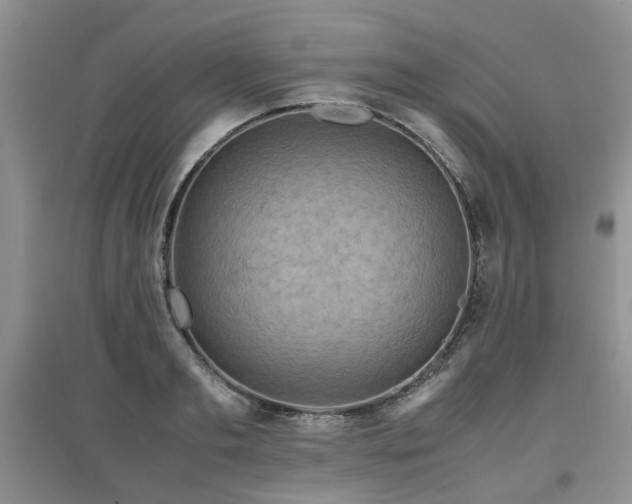 X0000097920893200803141438