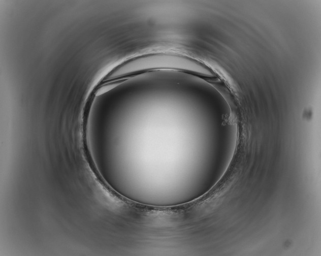 X0000097920894200803141438