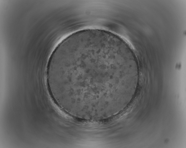 X0000097920895200803141438