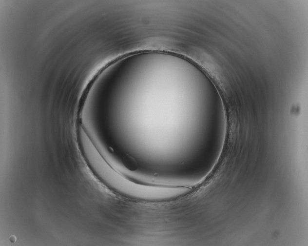 X0000097920896200803141438