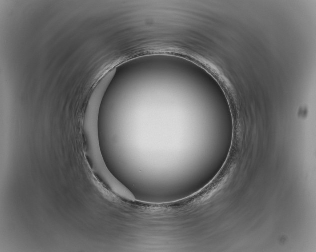 X0000097920897200803141438