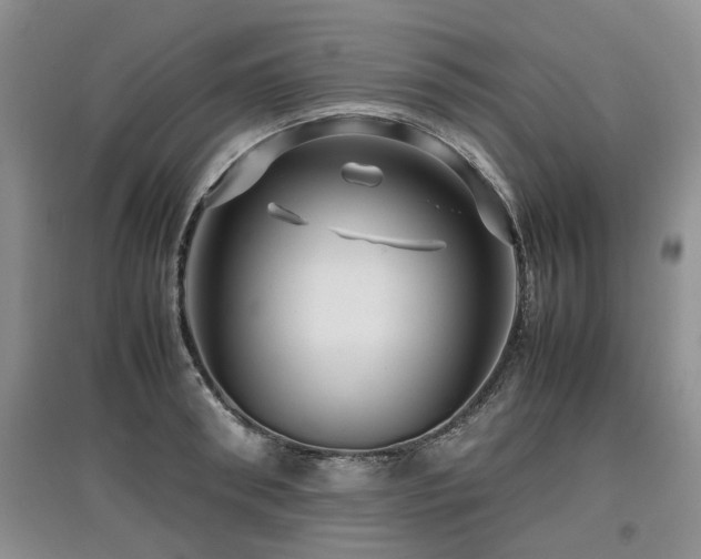 X0000097920898200803141438