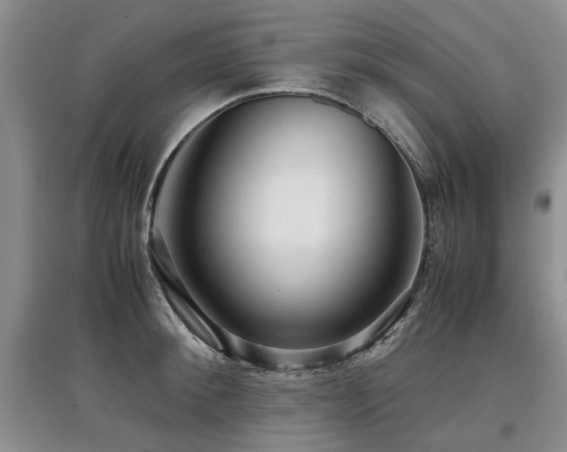 X0000097920900200803141438