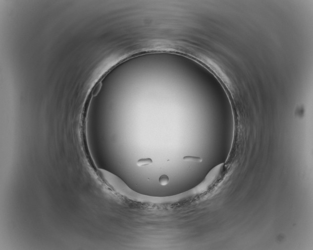 X0000097920901200803141438