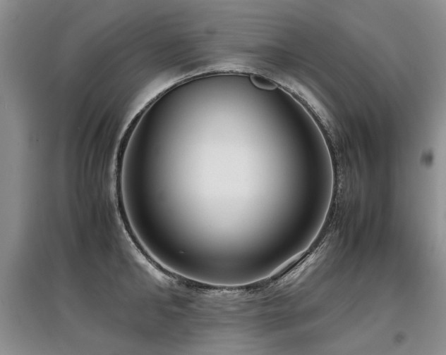 X0000097920902200803141438