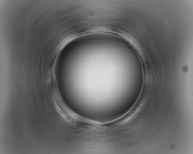 X0000097920905200803141438