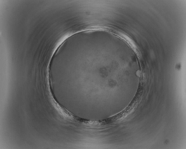 X0000097920907200803141438