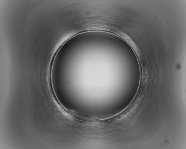 X0000097920909200803141438