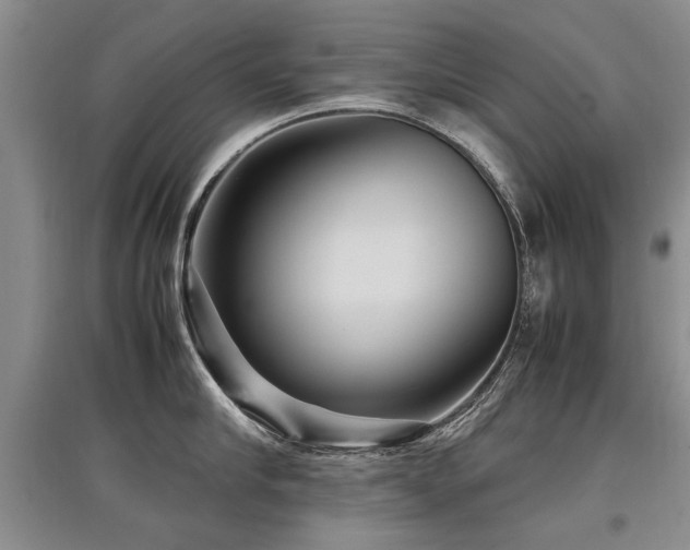 X0000097920910200803141438