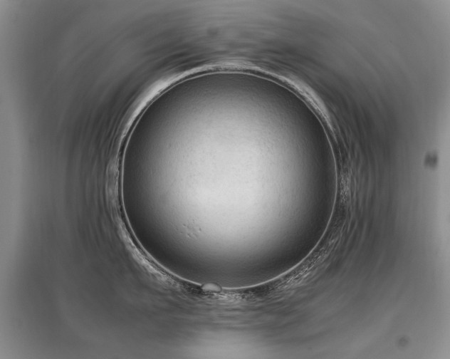 X0000097920911200803141438