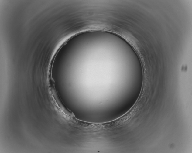 X0000097920912200803141438