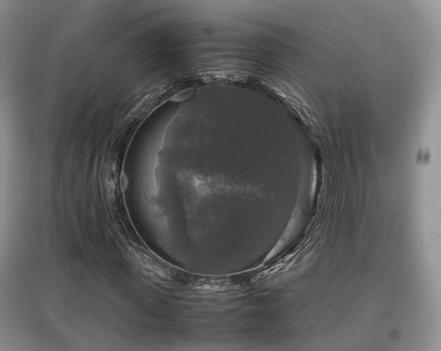 X0000097920915200803141437