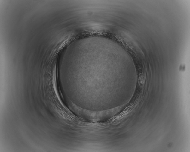 X0000097920916200803141438