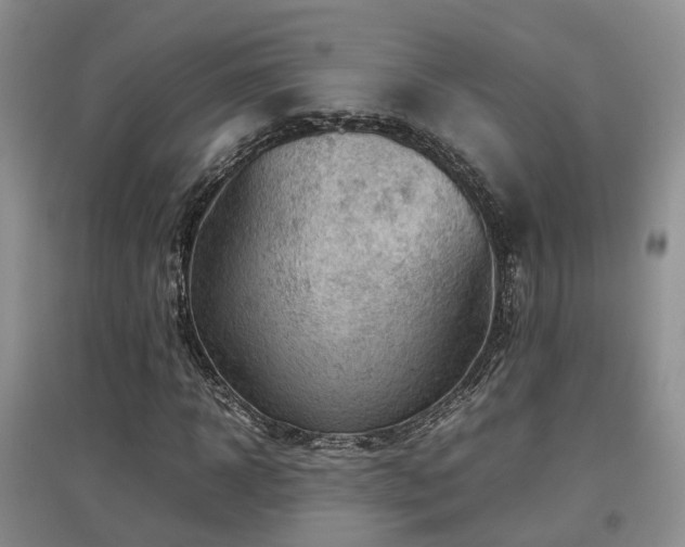 X0000097920918200803141438