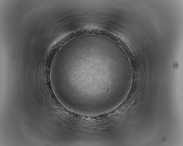 X0000097920919200803141438