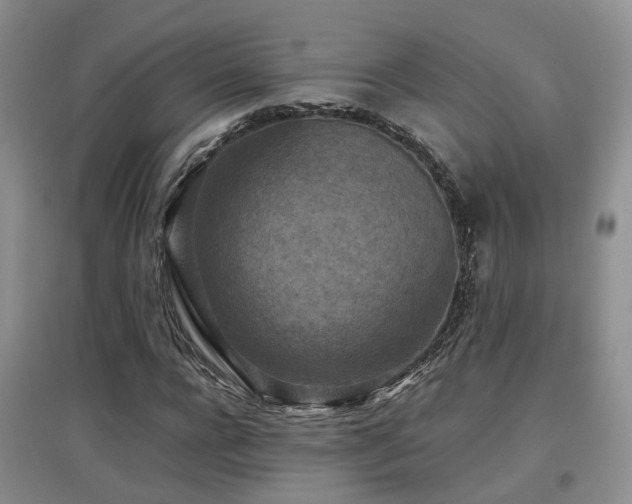 X0000097920920200803141438