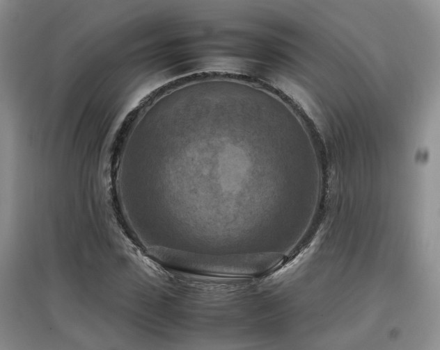 X0000097920923200803141438