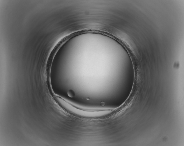 X0000097920924200803141438